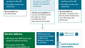 How IJBs work as described in the main report